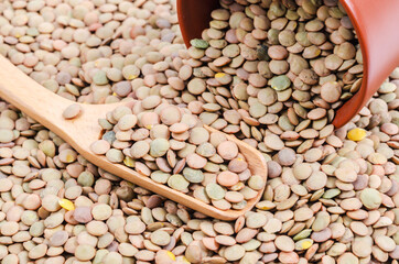 Brown Lentils in cup with wooden spoon.