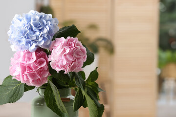 Beautiful hortensia flowers indoors. Space for text