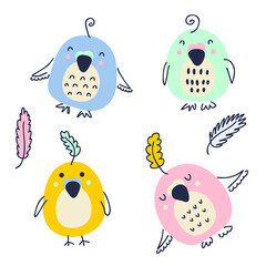 Hand drawn colorful parakeets vector collection. Perfect for poster, textile and prints. Cartoon style illustration for decor and design.
