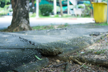 sidewalk looking like waves as the roots of a tree push them up and disturbs the sidewalk.broken concrete pathway brick surface background, close up cracked cement texture.safety first concept.