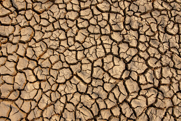 Impact of global warming, lack of water and moisture, top view surface of dry soil, cracked earth or cracked ground background.