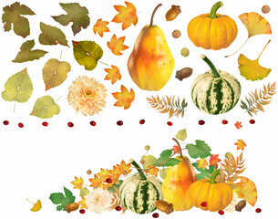 おしゃれなかぼちゃとなしと木の実とどんぐりの秋の植物の美しい白バックフレームとイラストセット素材
