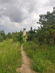 Fototapeta na wymiar Wieża widokowa w Józefowie