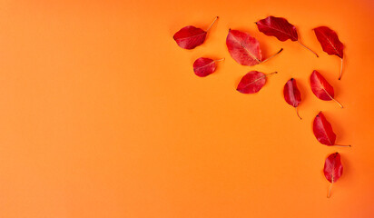 Autumn flat lay background on orange. Composition with realistic red leaves and cup of coffee. Hello october concept