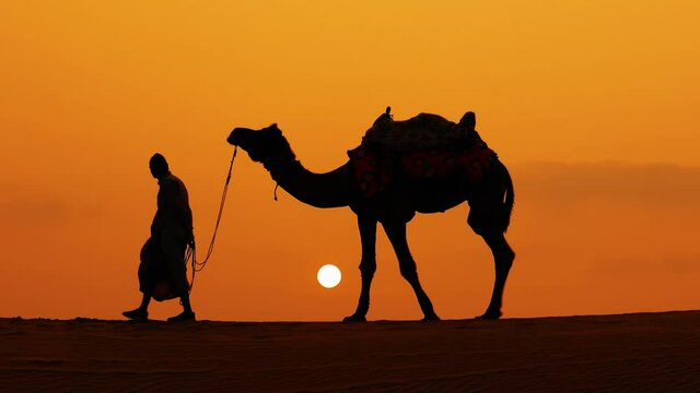 Cameleers, camel Drivers at sunset. Thar desert on sunset Jaisalmer, Rajasthan, India.