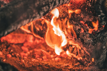 burning fire in a camp in cold night
