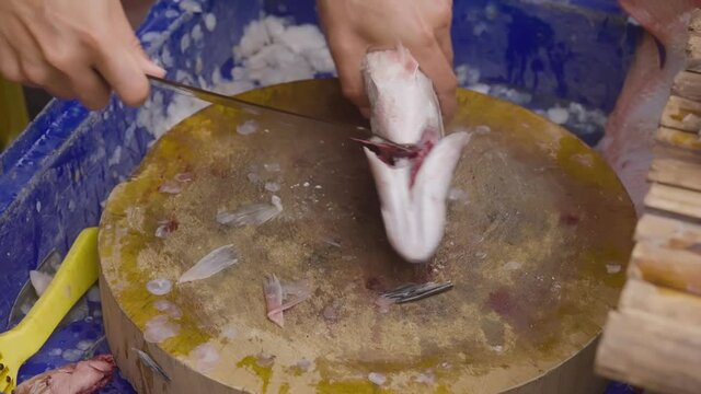Eviscerating Rabbit Evisceration bilder – Bläddra bland 356 stockfoton, vektorer och videor ...