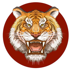 Tiger - symbol of the year 2022