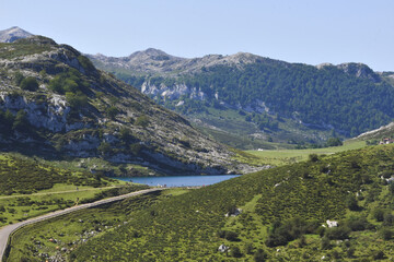 Naklejka na ściany i meble Foto de los lagos de Covadonga, Asturias