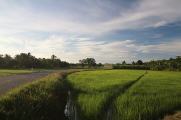 Beautiful view in the morning