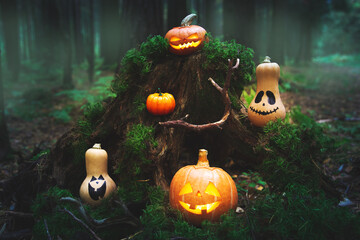 Family of pumpkins jack lantern in the autumn mystical forest.