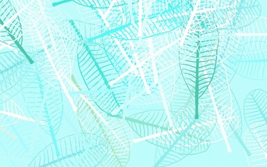 Light Green vector abstract design with leaves.