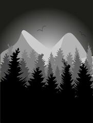 Sunset in forest sunrise in forest  mountains at night fir trees and hills black and white nature landscape