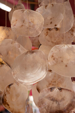 Ornament made of seashells. Decoration and design
