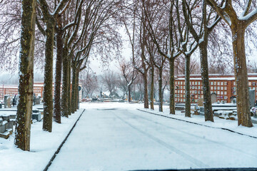 snowy road in the cemetery