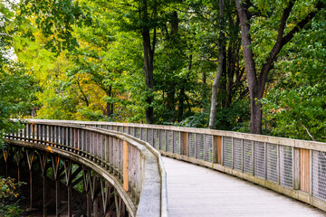 wooden bridge in the park in late summer