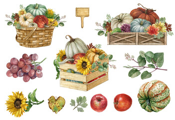 Watercolor Thanksgiving decor elements.Pumpkin and flower composition in basket, fall harvest,autumn squash,vegetables,country farmhouse garden.Autumn wedding illustration with pumpkin and flowers