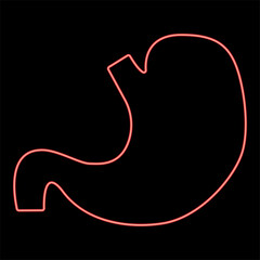 Neon stomach red color vector illustration flat style image