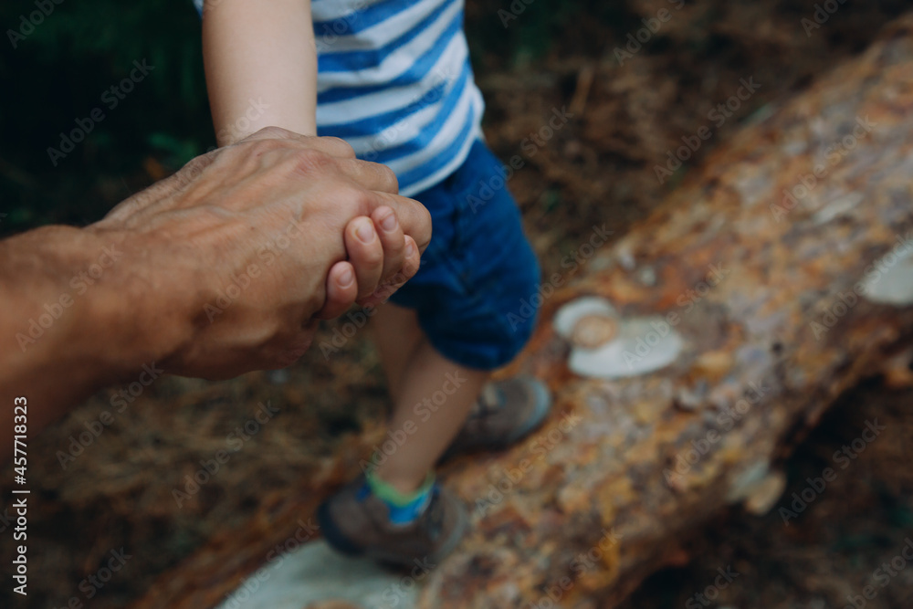 Wall mural Close-up: the father holds the hand of his son, walking on the logs in the forest.