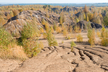 Naklejka premium Konduki, Tula region, Romancevskie mountains, Abandoned Ushakov quarries. The mud erosion of the soil looks like mountains. The area is overgrown with young birches. Beautiful natural landscape