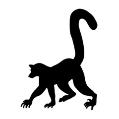 Silhouette of a charming animal lemur on a white background.Vector doodle illustration. © VERONIKA
