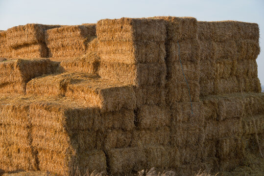 Hay stack bales close up, with rural farm countryside