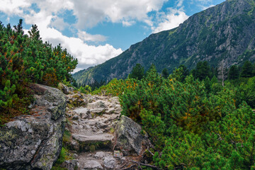Beautiful summer landscape of High Tatras, Slovakia – famous track to Poprad Lake – stone footpath over the cliff, lush forest, mountains and clouds on the sky