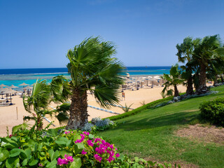 Panoramic view of sunny beach in Marsa Alam, Egypt