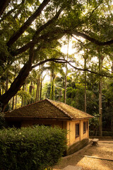 Fototapeta na wymiar farmhouse surrounded by large trees