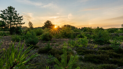 Sonnenaufgang Schönower Heide
