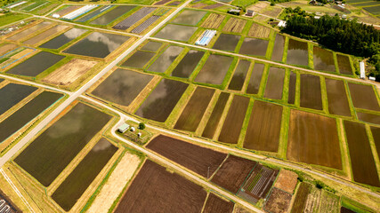 Paddy fields just filled with water that reflects the sky B