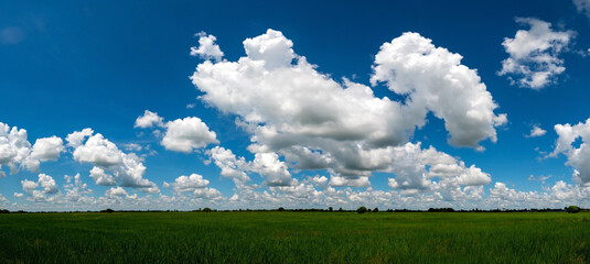 Obraz na płótnie Canvas Panorama Landscape Of blue Sky clouds Background over Rice fields And Paddy fields landscapes on a bright sunny day with patterns formed in natural background.