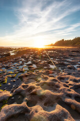 Botanical Beach on the West Coast of Pacific Ocean. Summer Sunny Sunset. Canadian Nature Landscape Background. Located in Port Renfrew near Victoria, Vancouver Island, British Columbia, Canada.