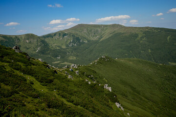 Fototapeta na wymiar Carpathians mountain range at summer morning. Beauty of wild virgin Ukrainian nature. Peacefulness.