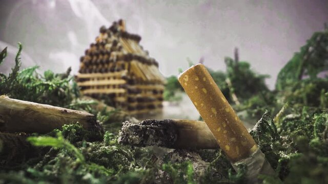 CU, macro view: miniature stage with broken cigarette stubs against match house among smoke clouds in summer wood extreme close low angle shot alpha channel