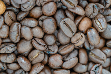 Arabica coffee bean background Slected Focus