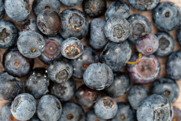Close up of blueberries background