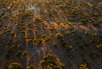 Aerial landscape at sunset in Dehesa de la Luz. Extremadura. Spain.