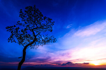 Naklejka na ściany i meble The small tree and a landscape of mountain ridges, sunset sky, and clouds. Location place Phu Kra Dung National park of Thailand. in vintage style