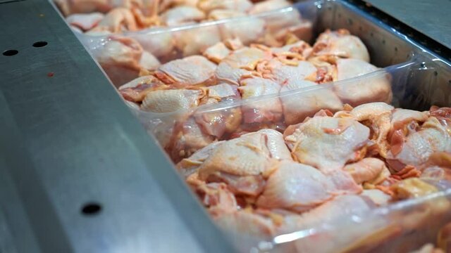 Fresh chicken meat production. Raw chicken meat parts in containers in refrigerator on a poultry processing factory.