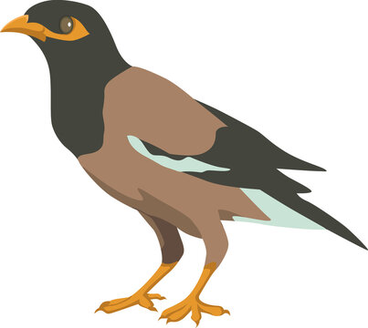 recommend clip art: bird clip art vactor file