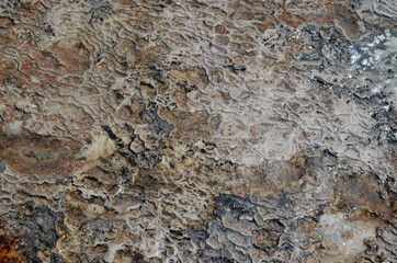 Pamukkale travertine texture. Wavy limestone textured deposits on terraces of carbonate minerals in Pamukkale, Turkey.