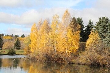 Fall Colours Along The Island,  William Hawrelak Park, Edmonton, Alberta