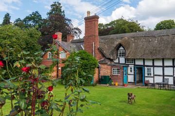 thatched cottage, english village, house in the woods, with a barking dog