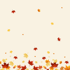 Autumn falling leaves with pink background and maple leaves