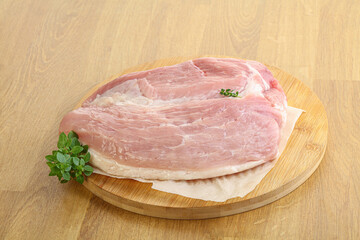 Piece of the raw pork meat