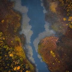 aerial photography of forest, forest and river landscape