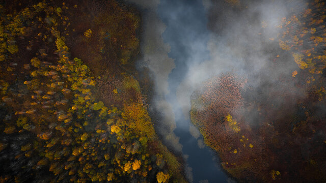 aerial photography of forest, forest and river landscape