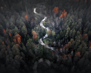 Fototapeta na wymiar aerial photography of forest, forest and river landscape