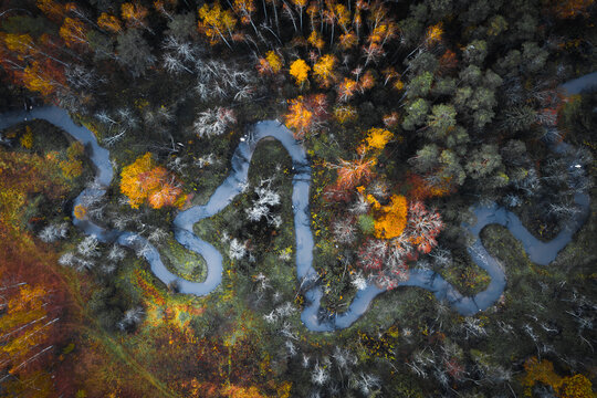 aerial photography of forest, forest and river landscape - Powered by Adobe